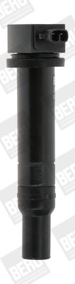 Ignition Coil BorgWarner (BERU) ZS481