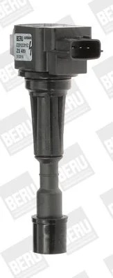 Ritė, uždegimas BorgWarner (BERU) ZS489
