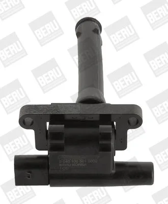 Ritė, uždegimas BorgWarner (BERU) ZS501