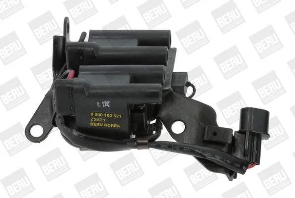 Ritė, uždegimas BorgWarner (BERU) ZS521