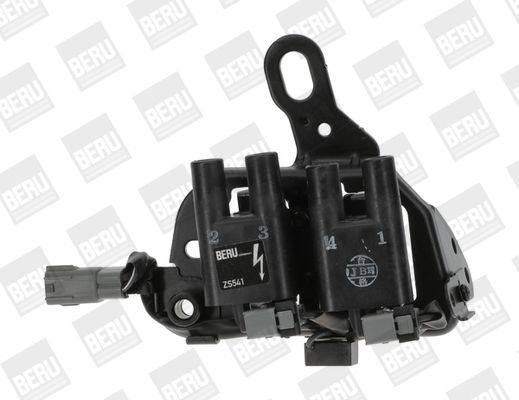 Ignition Coil BorgWarner (BERU) ZS541