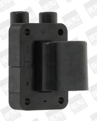 Ritė, uždegimas BorgWarner (BERU) ZS544