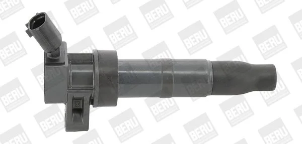 Ritė, uždegimas BorgWarner (BERU) ZS548