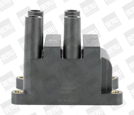 Ritė, uždegimas BorgWarner (BERU) ZS556