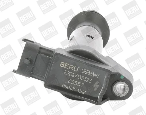 Ritė, uždegimas BorgWarner (BERU) ZS557