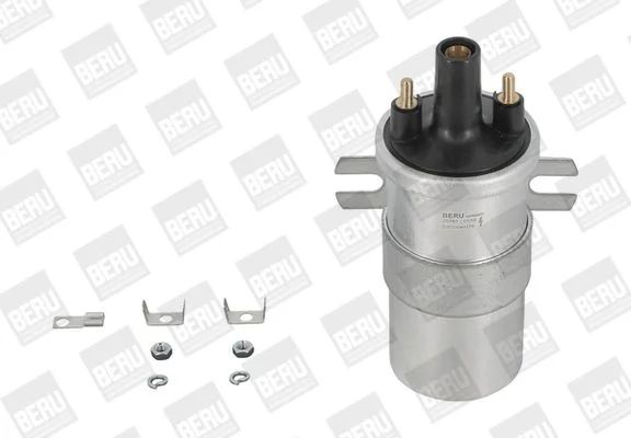 Ritė, uždegimas BorgWarner (BERU) ZS563