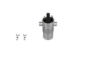 Ritė, uždegimas BorgWarner (BERU) ZS564