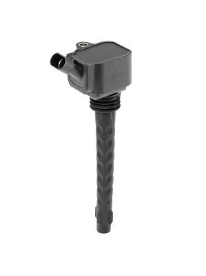 Ritė, uždegimas BorgWarner (BERU) ZS573