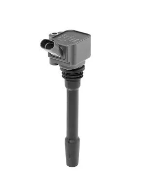 Ritė, uždegimas BorgWarner (BERU) ZS587