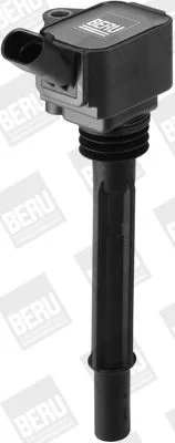 Ritė, uždegimas BorgWarner (BERU) ZS588