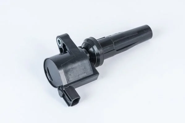 Ritė, uždegimas BorgWarner (BERU) ZS592