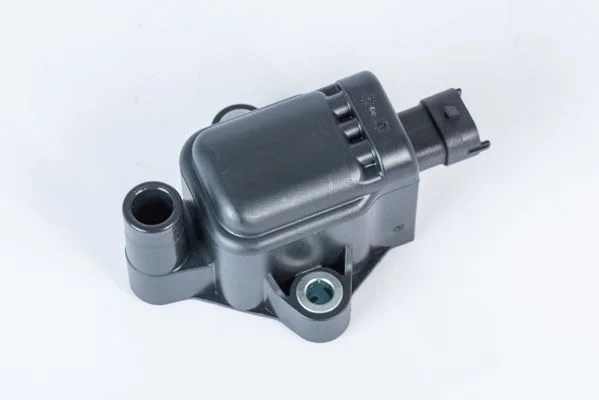 Ritė, uždegimas BorgWarner (BERU) ZS593