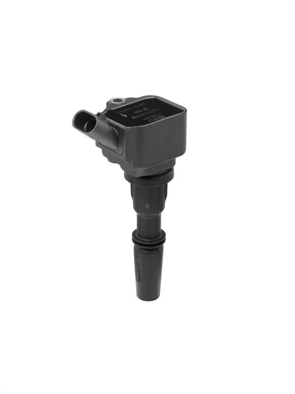 Ritė, uždegimas BorgWarner (BERU) ZS596