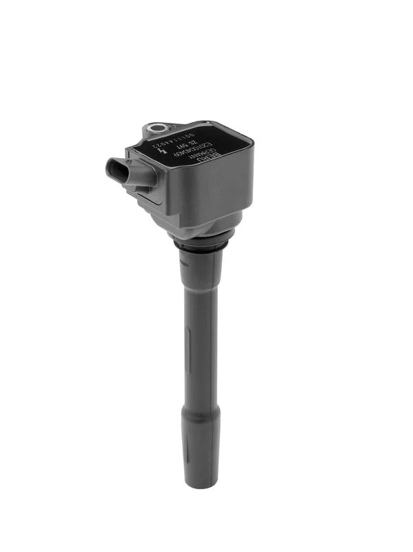 Ritė, uždegimas BorgWarner (BERU) ZS597