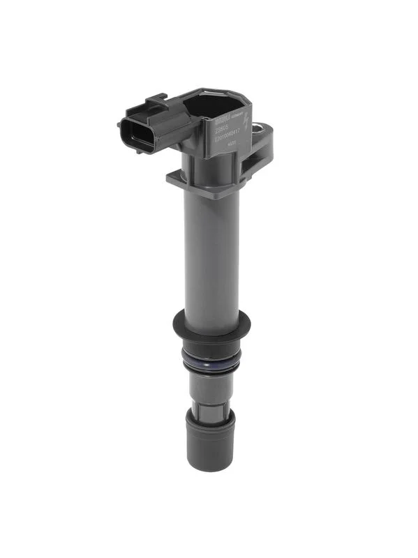 Ritė, uždegimas BorgWarner (BERU) ZS605