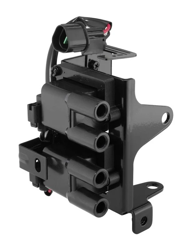 Ritė, uždegimas BorgWarner (BERU) ZS611