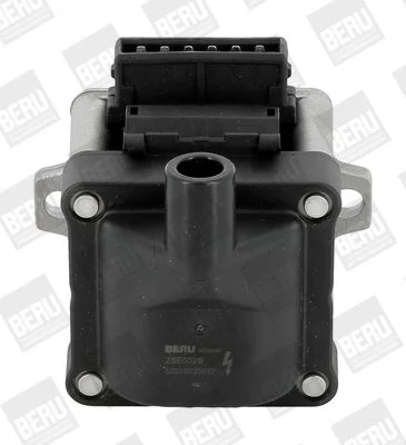 Ritė, uždegimas BorgWarner (BERU) ZSE002B