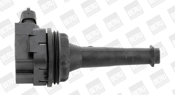 Ritė, uždegimas BorgWarner (BERU) ZSE019