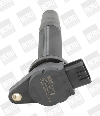 Ignition Coil BorgWarner (BERU) ZSE021