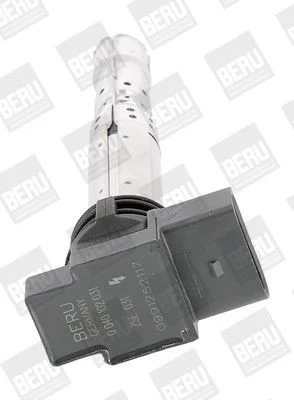Ritė, uždegimas BorgWarner (BERU) ZSE031