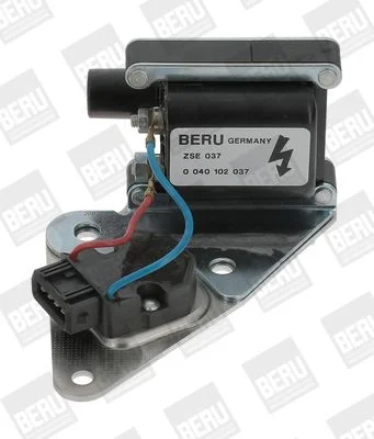 Ritė, uždegimas BorgWarner (BERU) ZSE037