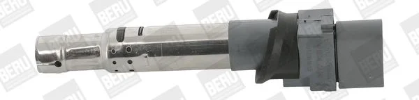 Ritė, uždegimas BorgWarner (BERU) ZSE041