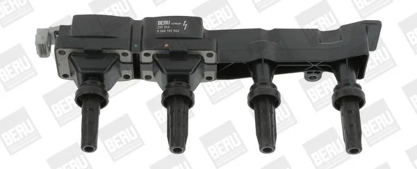 Ritė, uždegimas BorgWarner (BERU) ZSE046