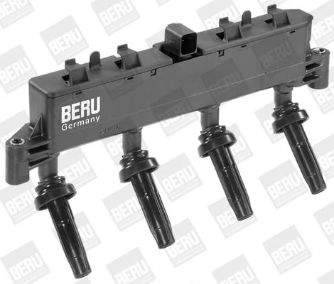 Ritė, uždegimas BorgWarner (BERU) ZSE048