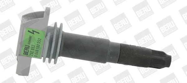 Ritė, uždegimas BorgWarner (BERU) ZSE052