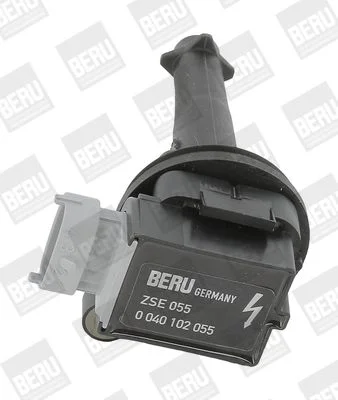 Ritė, uždegimas BorgWarner (BERU) ZSE055