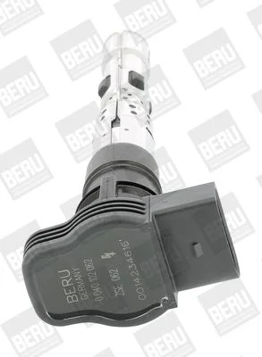 Ritė, uždegimas BorgWarner (BERU) ZSE062