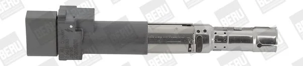 Ritė, uždegimas BorgWarner (BERU) ZSE063