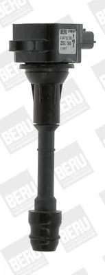 Ritė, uždegimas BorgWarner (BERU) ZSE080