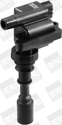 Ritė, uždegimas BorgWarner (BERU) ZSE087