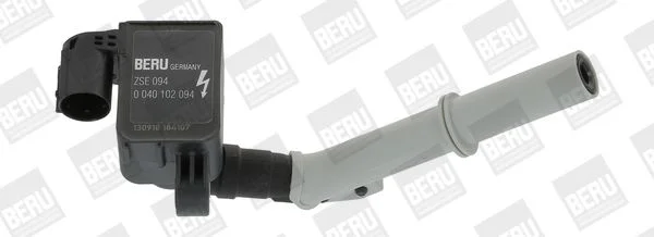 Ritė, uždegimas BorgWarner (BERU) ZSE094