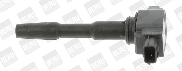 Ritė, uždegimas BorgWarner (BERU) ZSE131