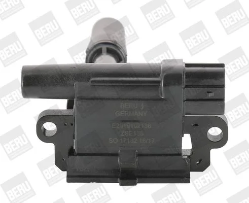 Ritė, uždegimas BorgWarner (BERU) ZSE136