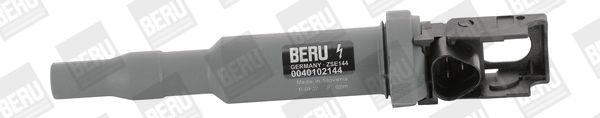 Ritė, uždegimas BorgWarner (BERU) ZSE144