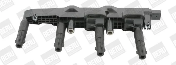 Ritė, uždegimas BorgWarner (BERU) ZSE146