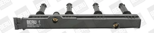 Ritė, uždegimas BorgWarner (BERU) ZSE150