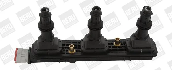 Ritė, uždegimas BorgWarner (BERU) ZSE153