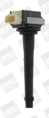 Ritė, uždegimas BorgWarner (BERU) ZSE161
