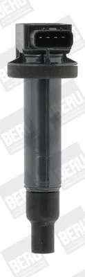 Ritė, uždegimas BorgWarner (BERU) ZSE165