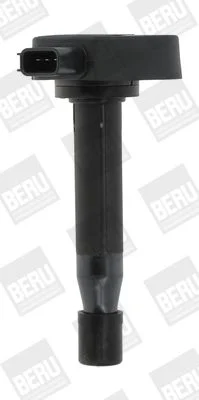 Ritė, uždegimas BorgWarner (BERU) ZSE166