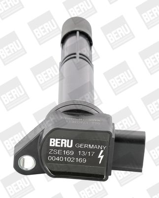 Ritė, uždegimas BorgWarner (BERU) ZSE169