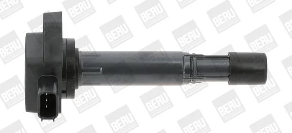 Ritė, uždegimas BorgWarner (BERU) ZSE170