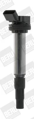 Ritė, uždegimas BorgWarner (BERU) ZSE184