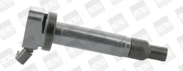 Ritė, uždegimas BorgWarner (BERU) ZSE187