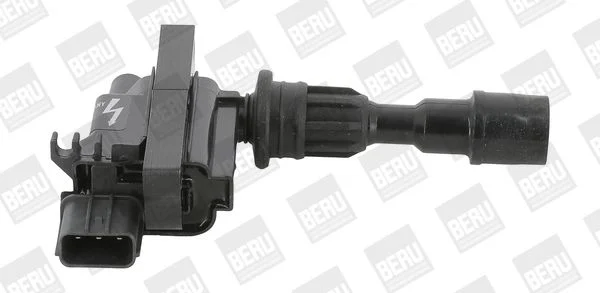 Ritė, uždegimas BorgWarner (BERU) ZSE190