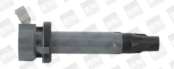 Ritė, uždegimas BorgWarner (BERU) ZSE194